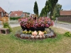 mothern_fleurs2010-3
