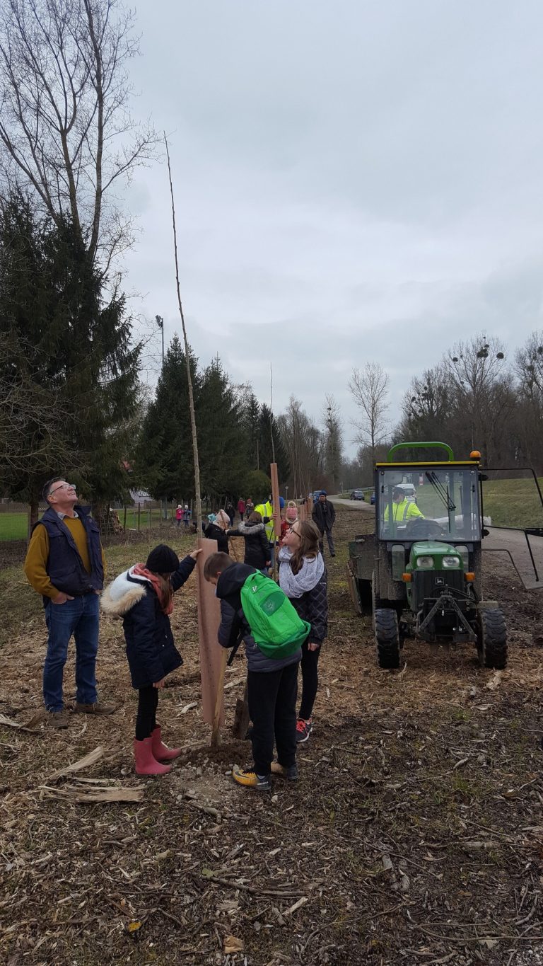 Planter Des Arbres Pour Sauver La Planète Pour sauver la planète, les enfants plantent des arbres – Mothern
